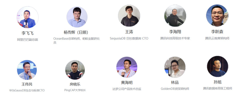 专家图